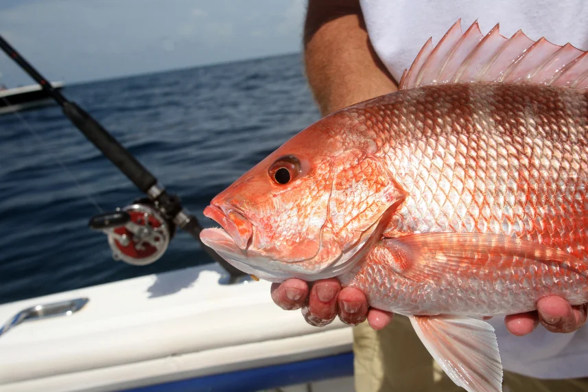 Deep sea fishing Sea Colva